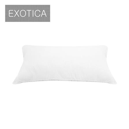 หมอนหนุน ใยสังเคราะห์ EXOTICA PL1E-07XO 19x29 นิ้ว_0