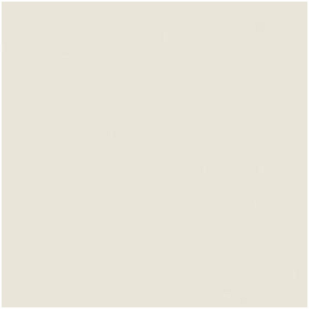 PORCELAIN  FLOOR TILE 60x60CM TARA GRANITTO BEIGENANO NEW 1.44M2