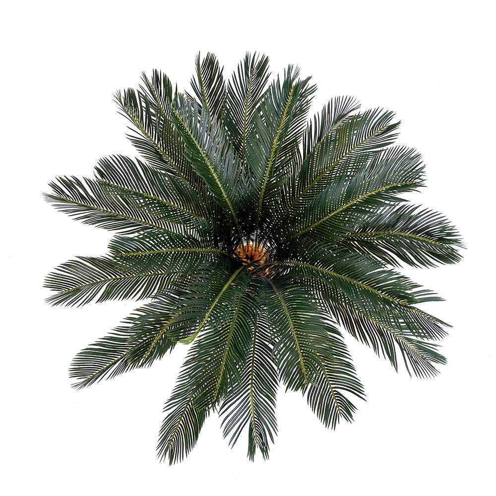 ต้นปรงประดิษฐ์ SPRING 93 ซม.