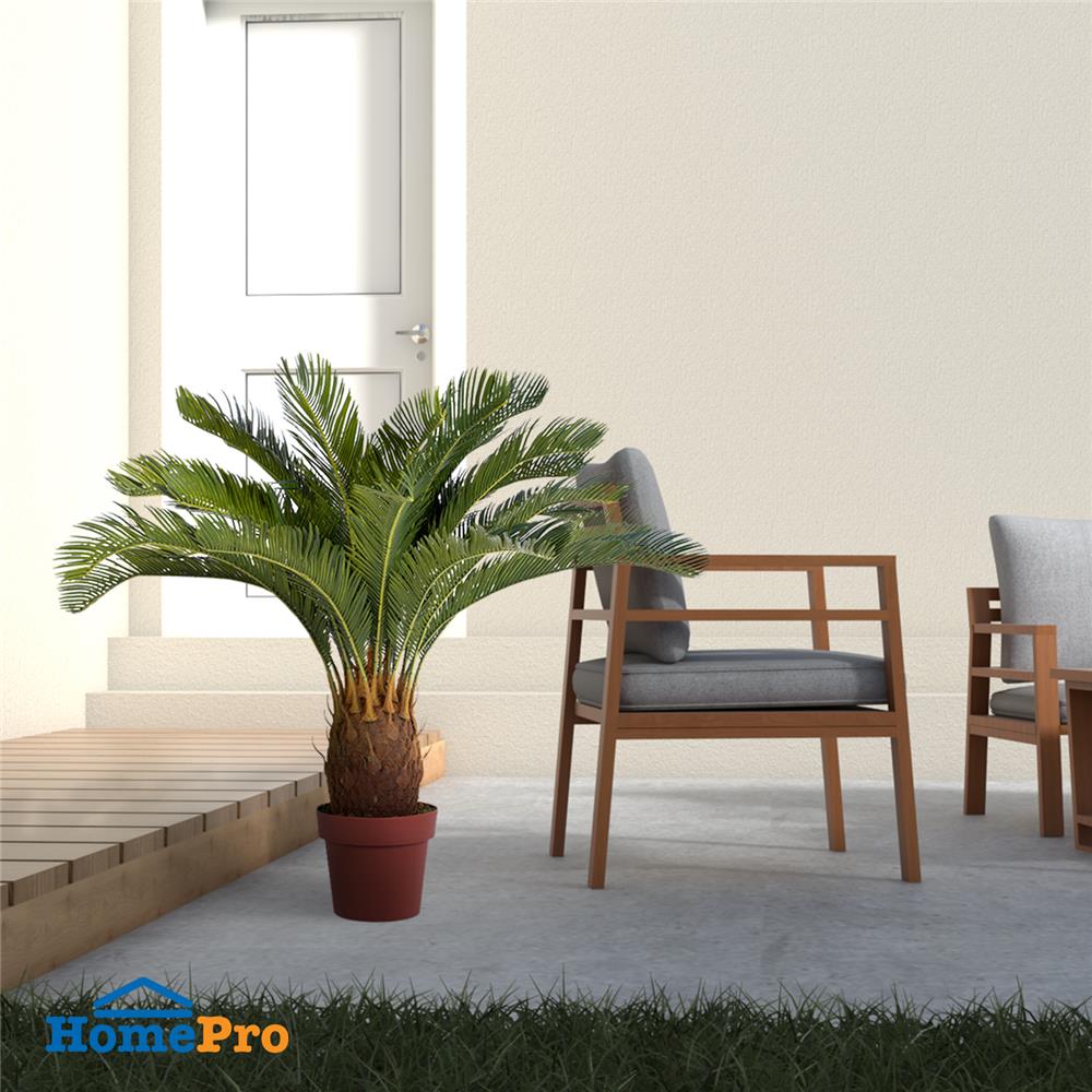 ต้นปรงประดิษฐ์ SPRING 93 ซม.