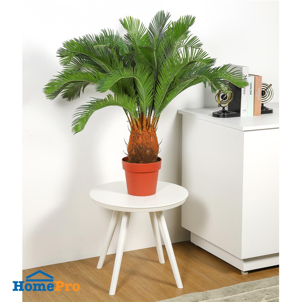 ต้นปรงประดิษฐ์ SPRING 93 ซม.