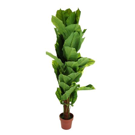 ต้นพลูด่างประดิษฐ์ SPRING 150 ซม._1