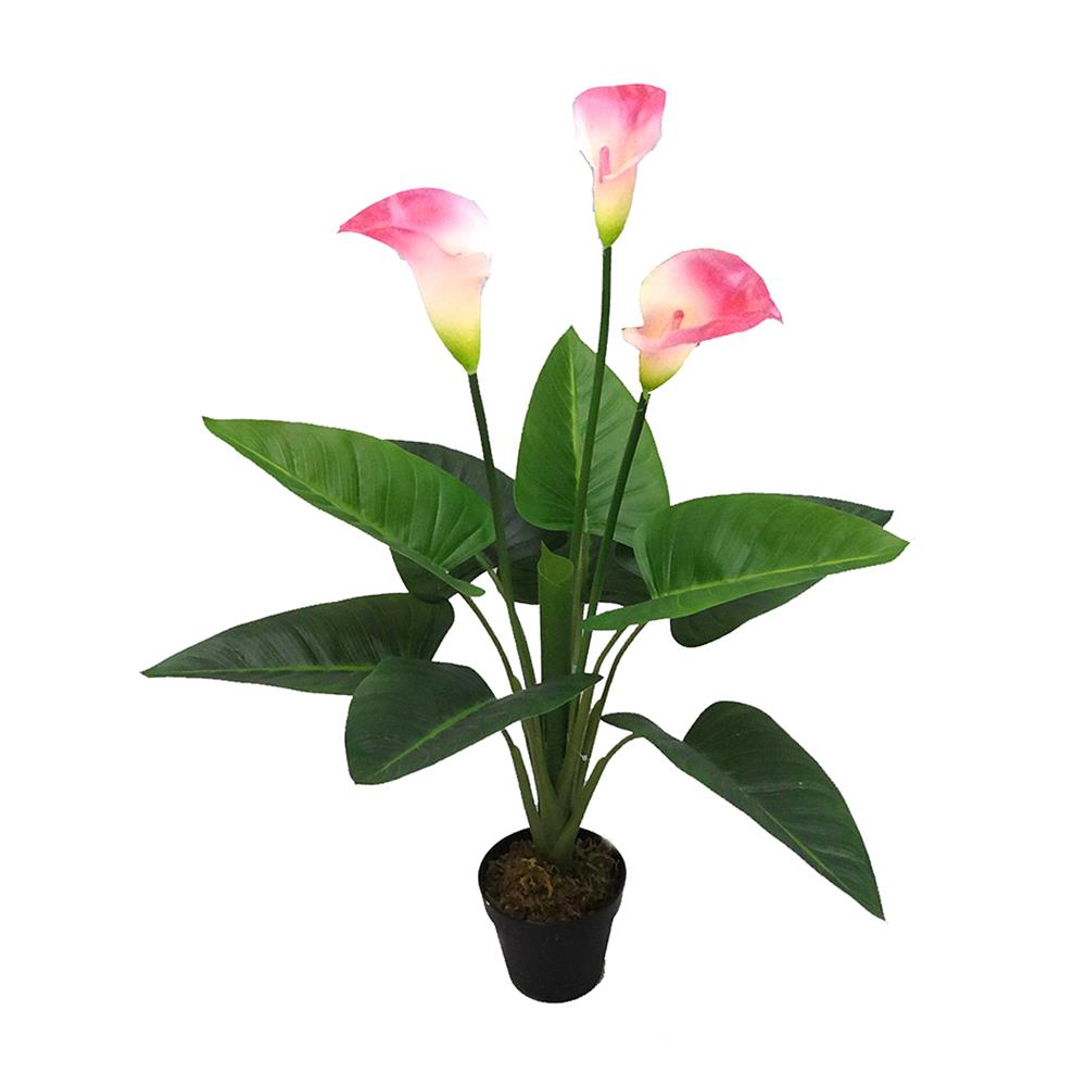 ต้นคาลล่าลิลลี่ประดิษฐ์ SPRING 72 ซม. สีชมพู_1