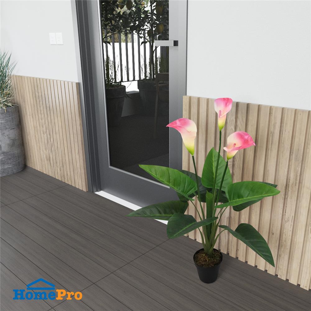 ต้นคาลล่าลิลลี่ประดิษฐ์ SPRING 72 ซม. สีชมพู