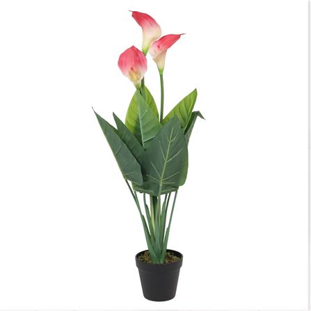 ต้นคาลล่าลิลลี่ประดิษฐ์ SPRING 72 ซม. สีชมพู_2