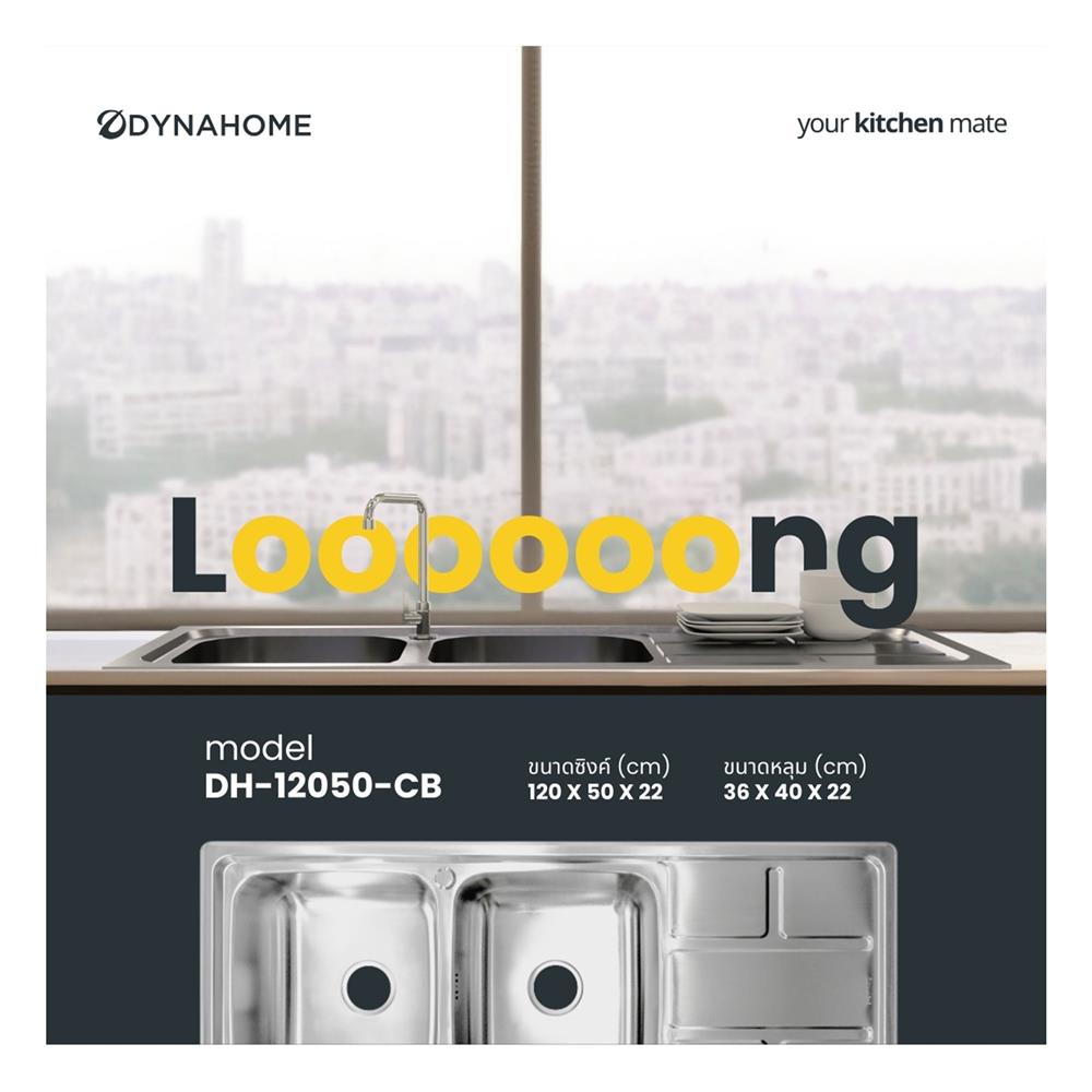 ซิงค์ฝัง 2 หลุม 1 ที่พัก DYNA HOME DH-12050C สีเงิน