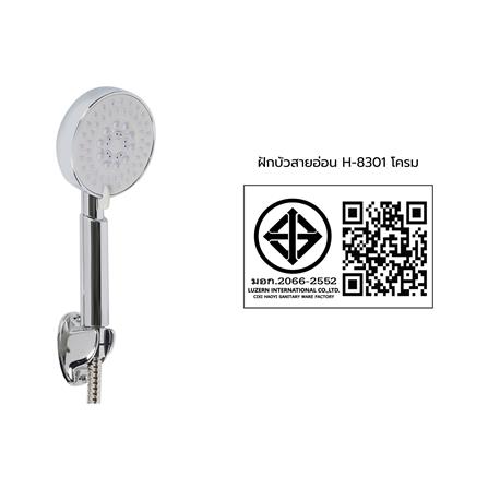 ชุดฝักบัวสายอ่อน 5 ระดับ HOEN รุ่น H-8301 สีโครม_2