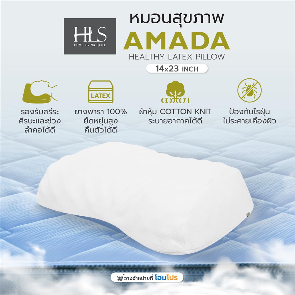 หมอนสุขภาพ ยางพารา HOME LIVING STYLE AMADA 14x23 นิ้ว สีขาว