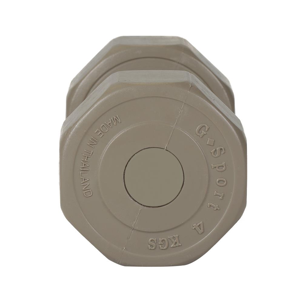 ดัมเบล GSPORTS DB4 4 กก. สีน้ำตาล