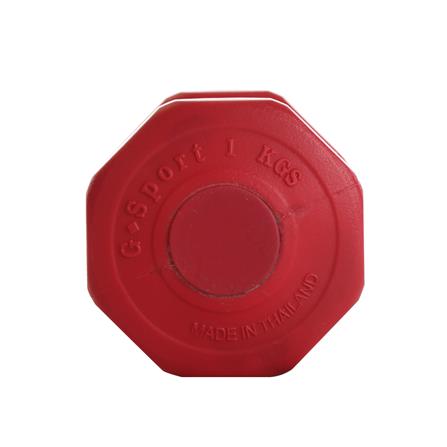 ดัมเบล GSPORTS DB1 1 กก. สีแดง_2