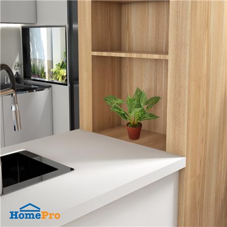 ต้นว่านเงินไหลมา SPRING 37 ซม._4