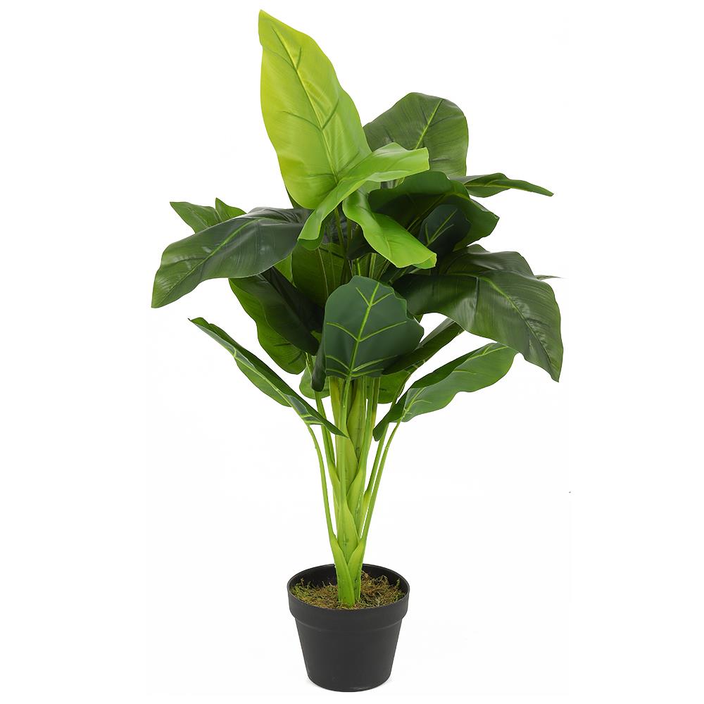 ต้นเศรษฐีวิลสันประดิษฐ์ LALA HOME 80 ซม.