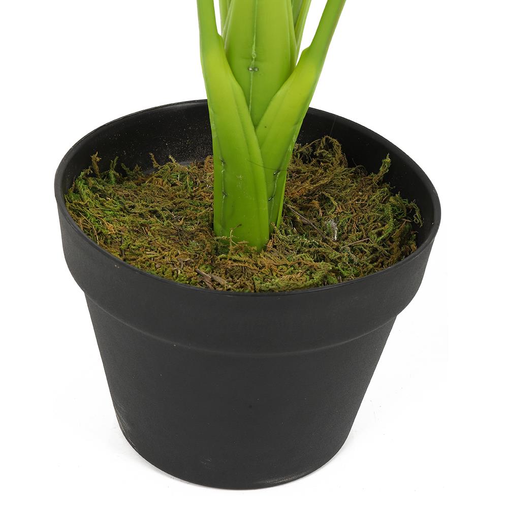 ต้นเศรษฐีวิลสันประดิษฐ์ LALA HOME 80 ซม.