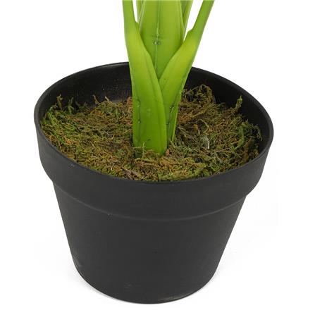 ต้นเศรษฐีวิลสันประดิษฐ์ LALA HOME 80 ซม._1