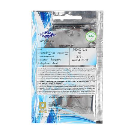 เมล็ดพันธุ์มะเขือเปราะจาว ตราเจียไต๋_1