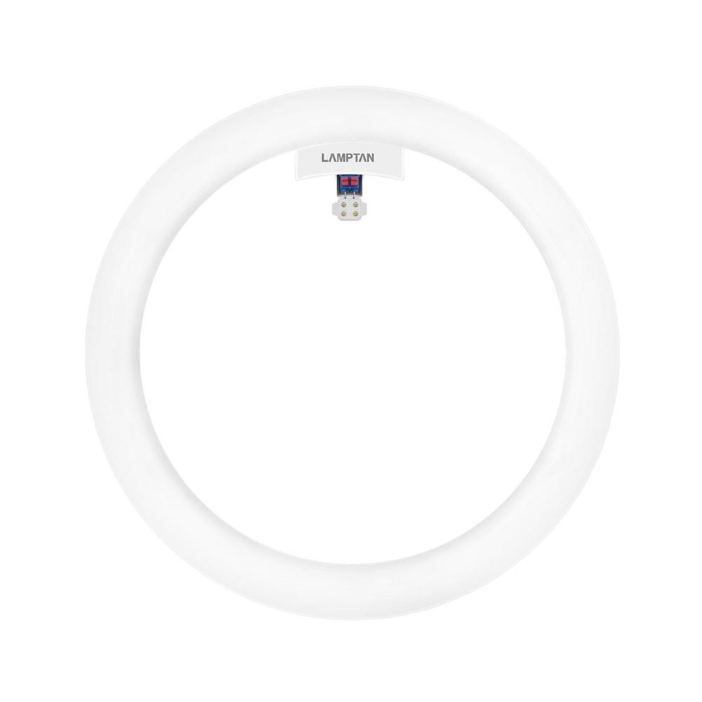 หลอด LED LAMPTAN CIRCULAR SET 24 วัตต์ DAYLIGHT G10q