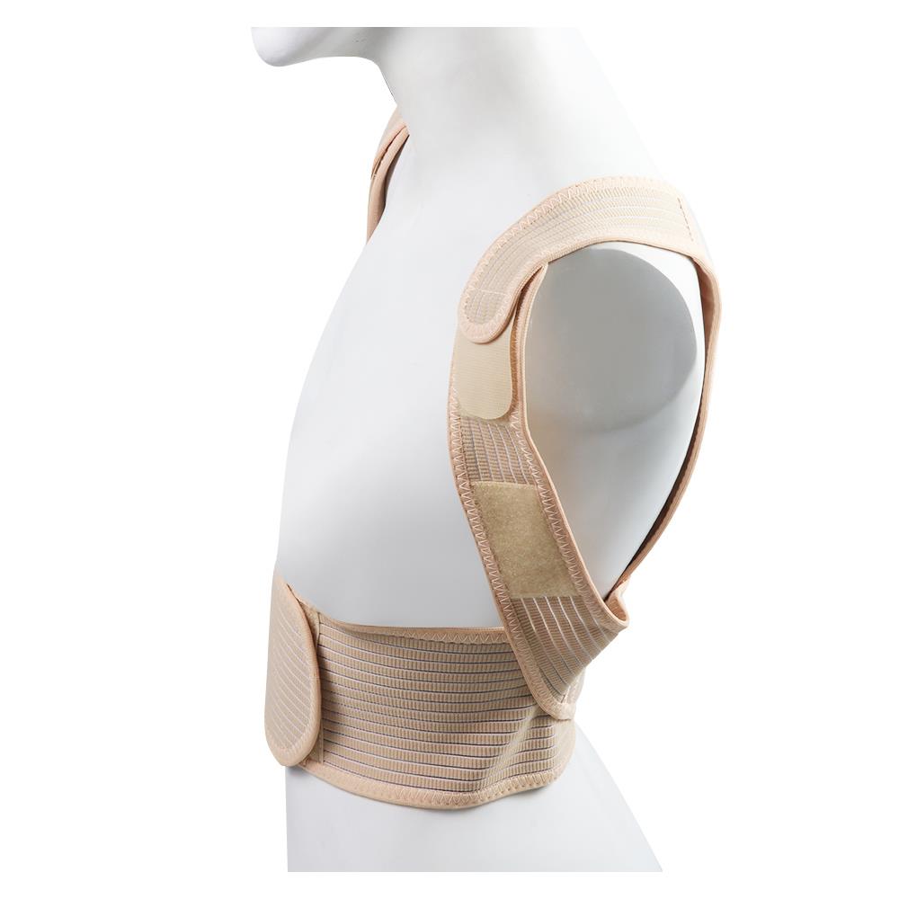 อุปกรณ์เสื้อดามหลัง PROSIRY SAFE L