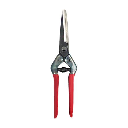 กรรไกรแต่งกิ่งปากตรง CHIKAMASA T7C 21 ซม.