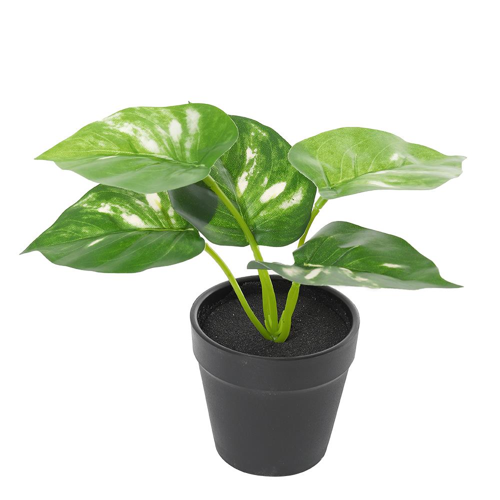 ต้นไม้ประดิษฐ์ใบเขียว LALA HOME MN06