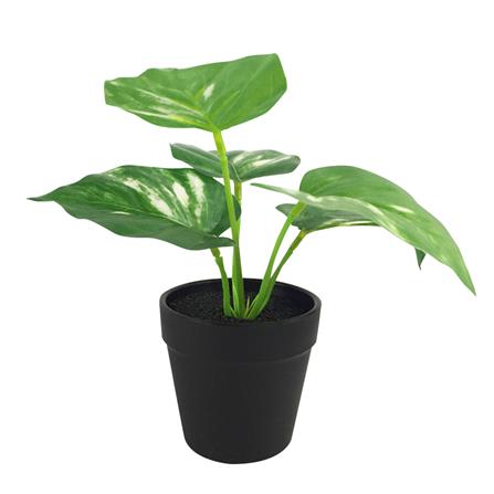 ต้นไม้ประดิษฐ์ใบเขียว LALA HOME MN06