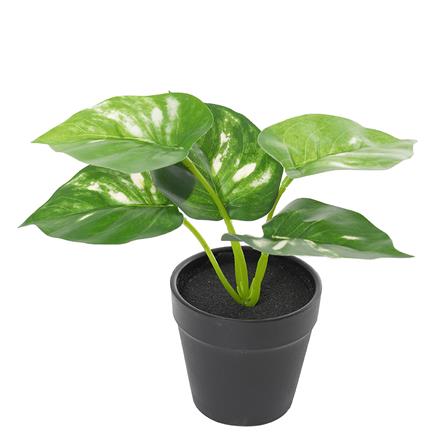 ต้นไม้ประดิษฐ์ใบเขียว LALA HOME MN06_1