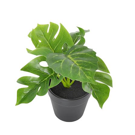 ต้นไม้ประดิษฐ์ใบเขียว LALA HOME MN03_1