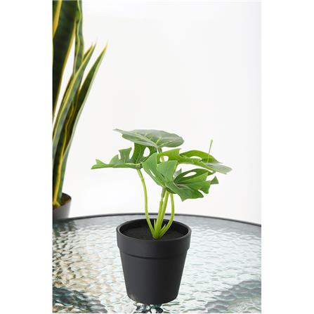 ต้นไม้ประดิษฐ์ใบเขียว LALA HOME MN03_2