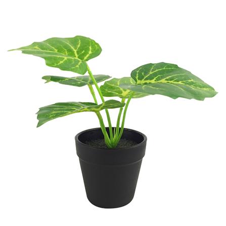 ต้นไม้ประดิษฐ์ใบเขียว SPRING รุ่น MN11 19 ซม.