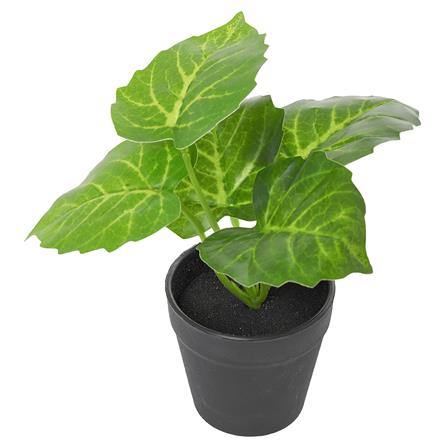 ต้นไม้ประดิษฐ์ใบเขียว SPRING รุ่น MN11 19 ซม._1