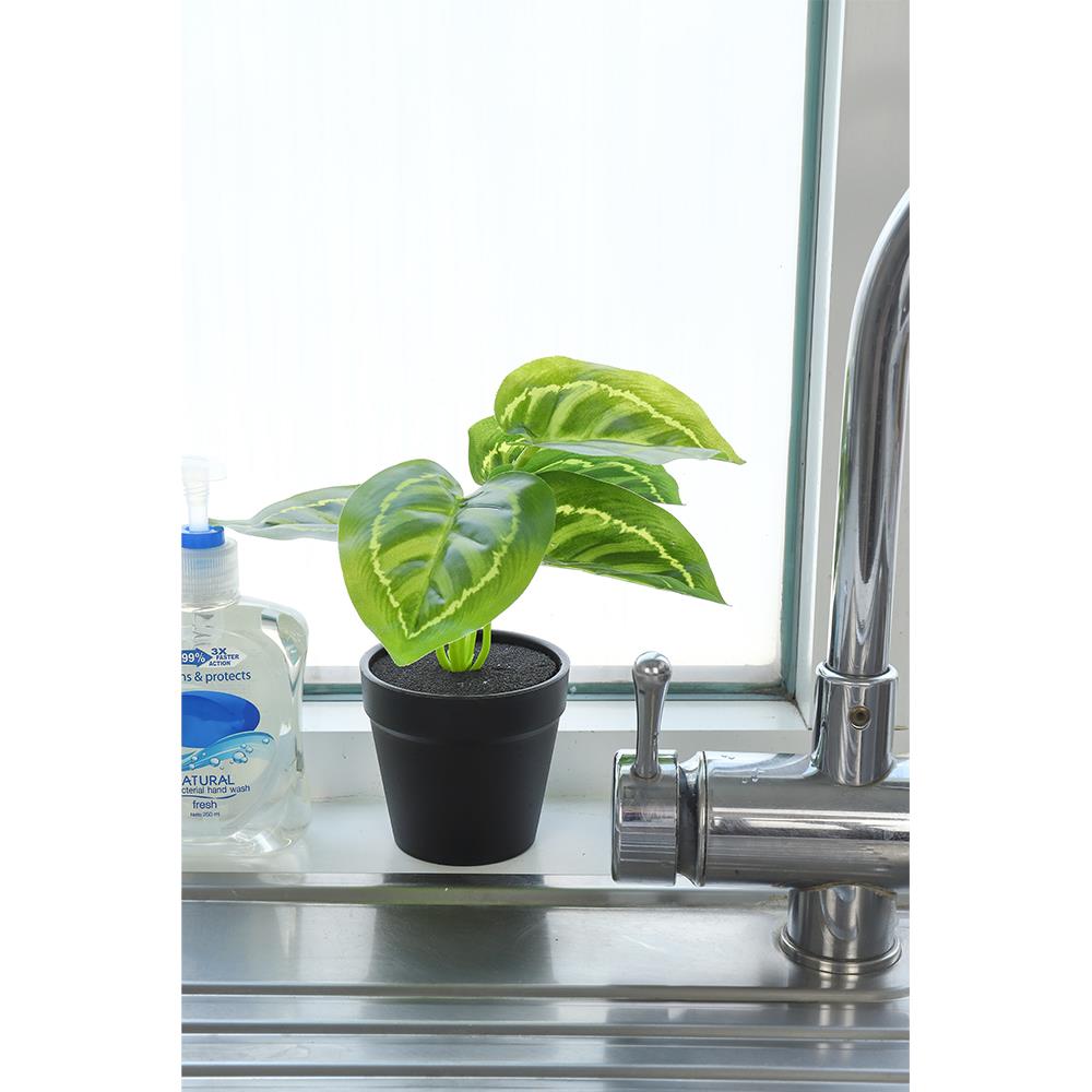 ต้นไม้ประดิษฐ์ใบเขียว LALA HOME MN10