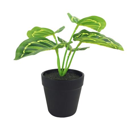 ต้นไม้ประดิษฐ์ใบเขียว LALA HOME MN10