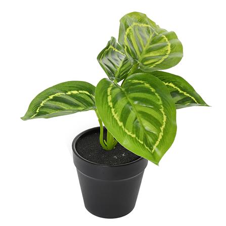 ต้นไม้ประดิษฐ์ใบเขียว LALA HOME MN10_1