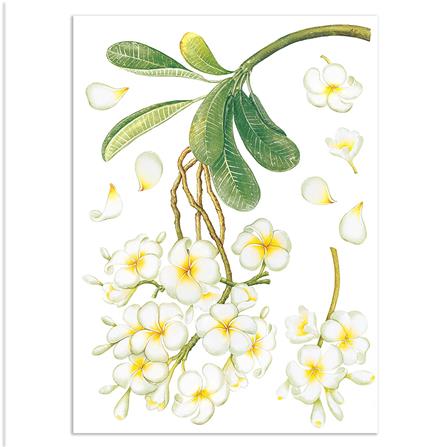 สติ๊กเกอร์ลอกน้ำ DIY HOME LIVING STYLE FLOWER 34X47 ซม._0