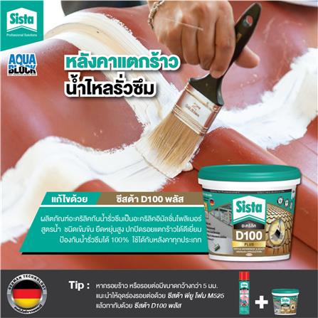 อะคริลิกกันซึม SISTA D100 PLUS 20 กก. สีเทา_2