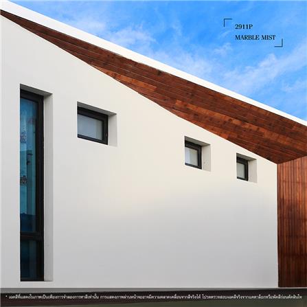 สีรองพื้นปูนเก่า ชนิดด้าน JBP CONTACT 1000 5 แกลลอน_2