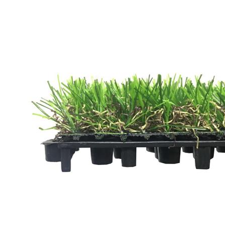 ทางเท้าหญ้าเทียม 25 มม. SPRING GN-U SOFT 30X30 ซม._2