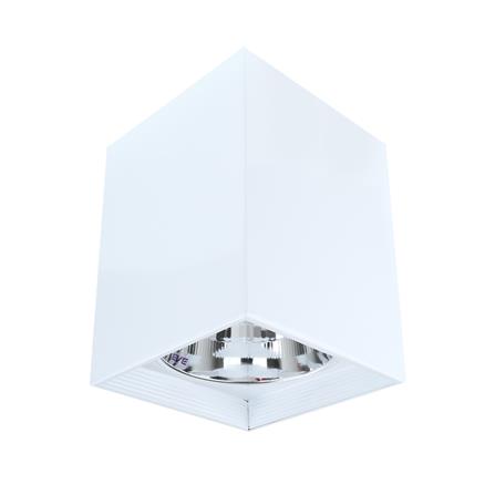 ดาวน์ไลท์ EVE 552470 อะลูมิเนียม สีขาว 6