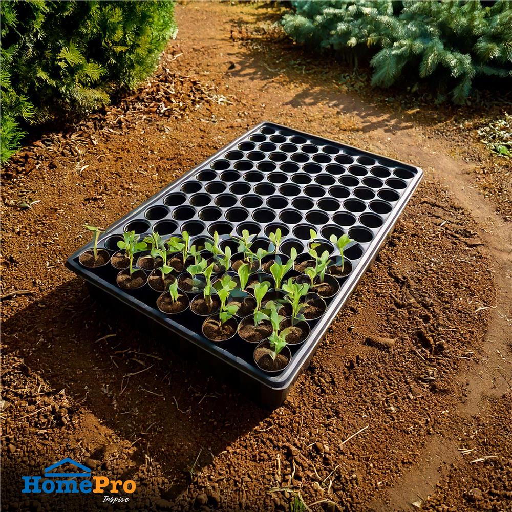 ถาดเพาะกล้า SPRING พลาสติก ขนาด 104 หลุม สีดำ