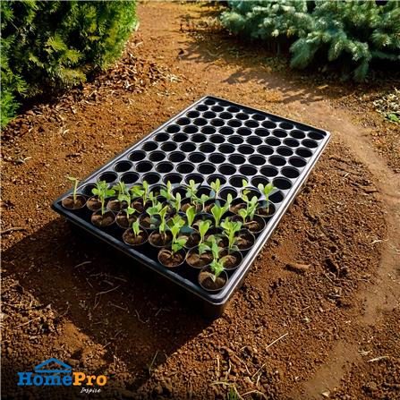 ถาดเพาะกล้า SPRING พลาสติก ขนาด 104 หลุม สีดำ_4