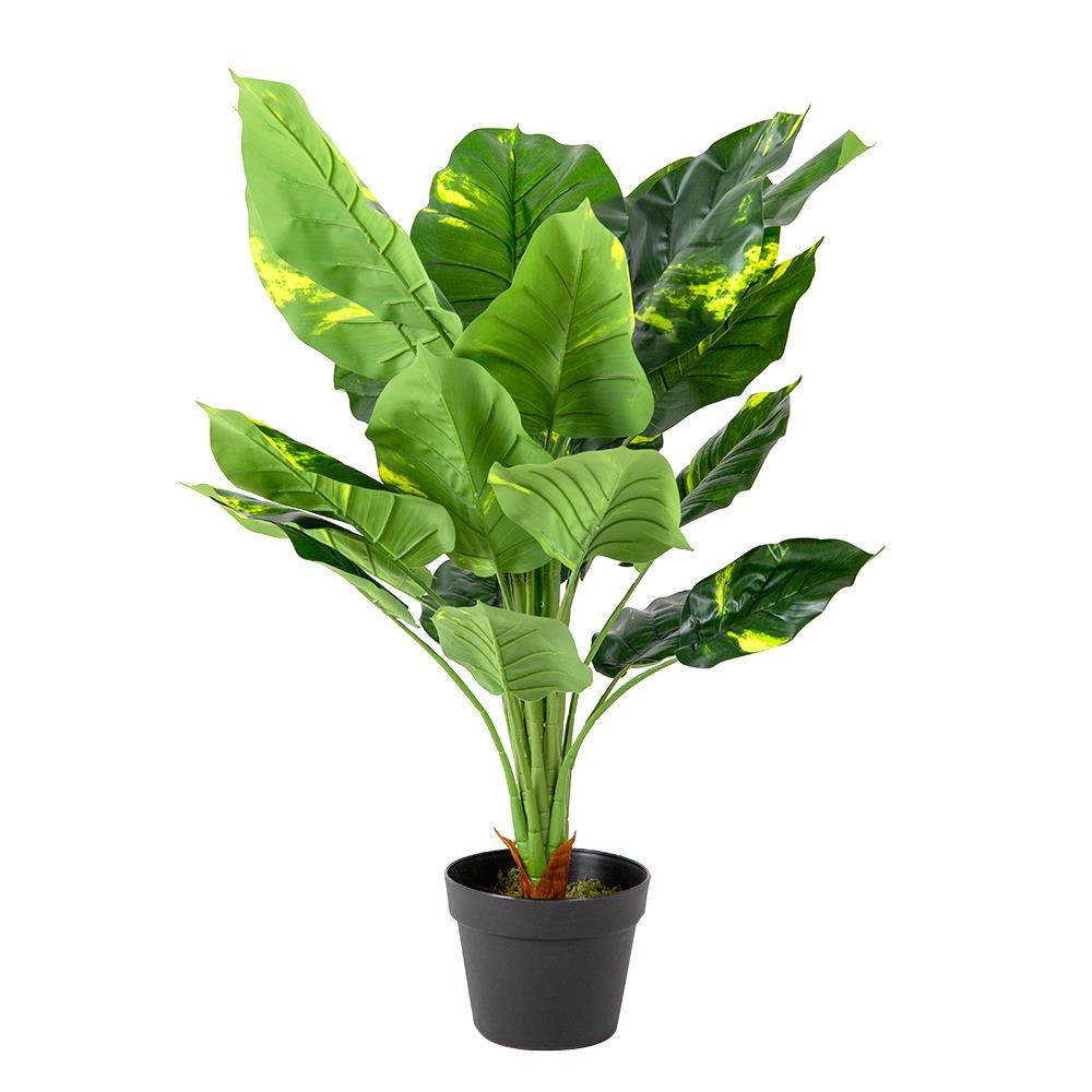 ต้นพลูด่างประดิษฐ์ LALA HOME 80 ซม.