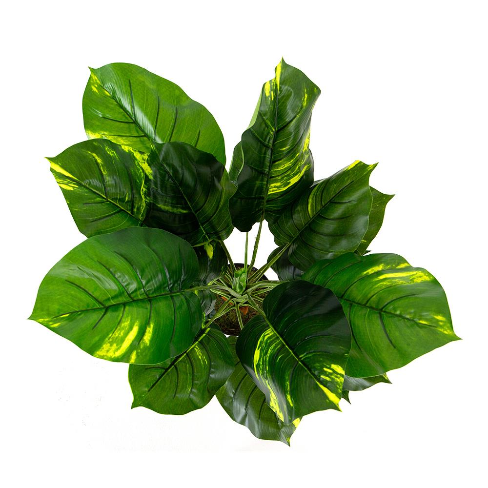 ต้นพลูด่างประดิษฐ์ LALA HOME 80 ซม.