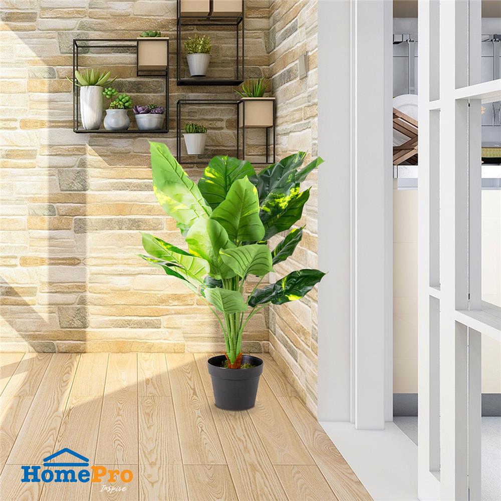 ต้นพลูด่างประดิษฐ์ LALA HOME 80 ซม.