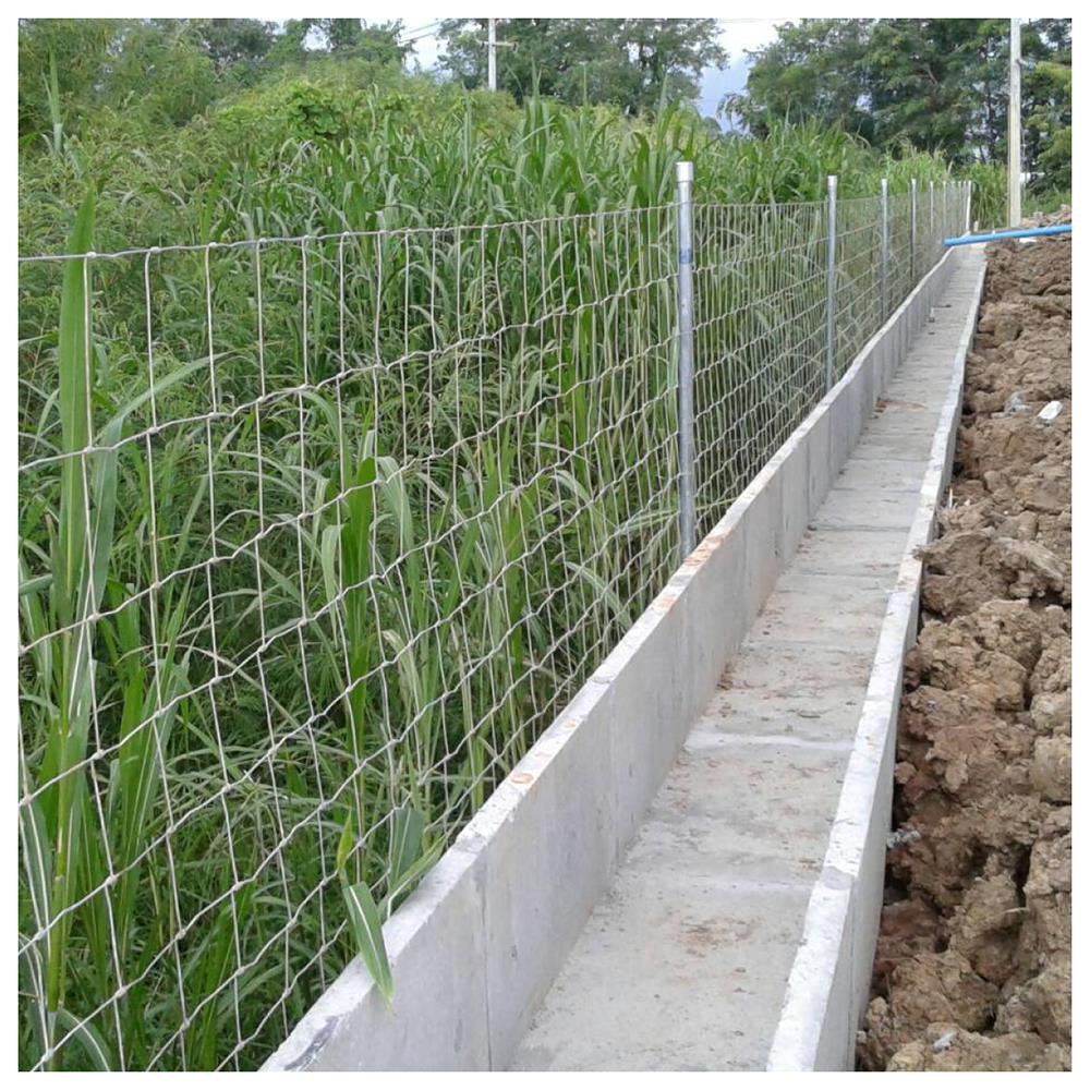 ตาข่ายถักปม เทวดา 10 เส้น 1.20x100 ม.