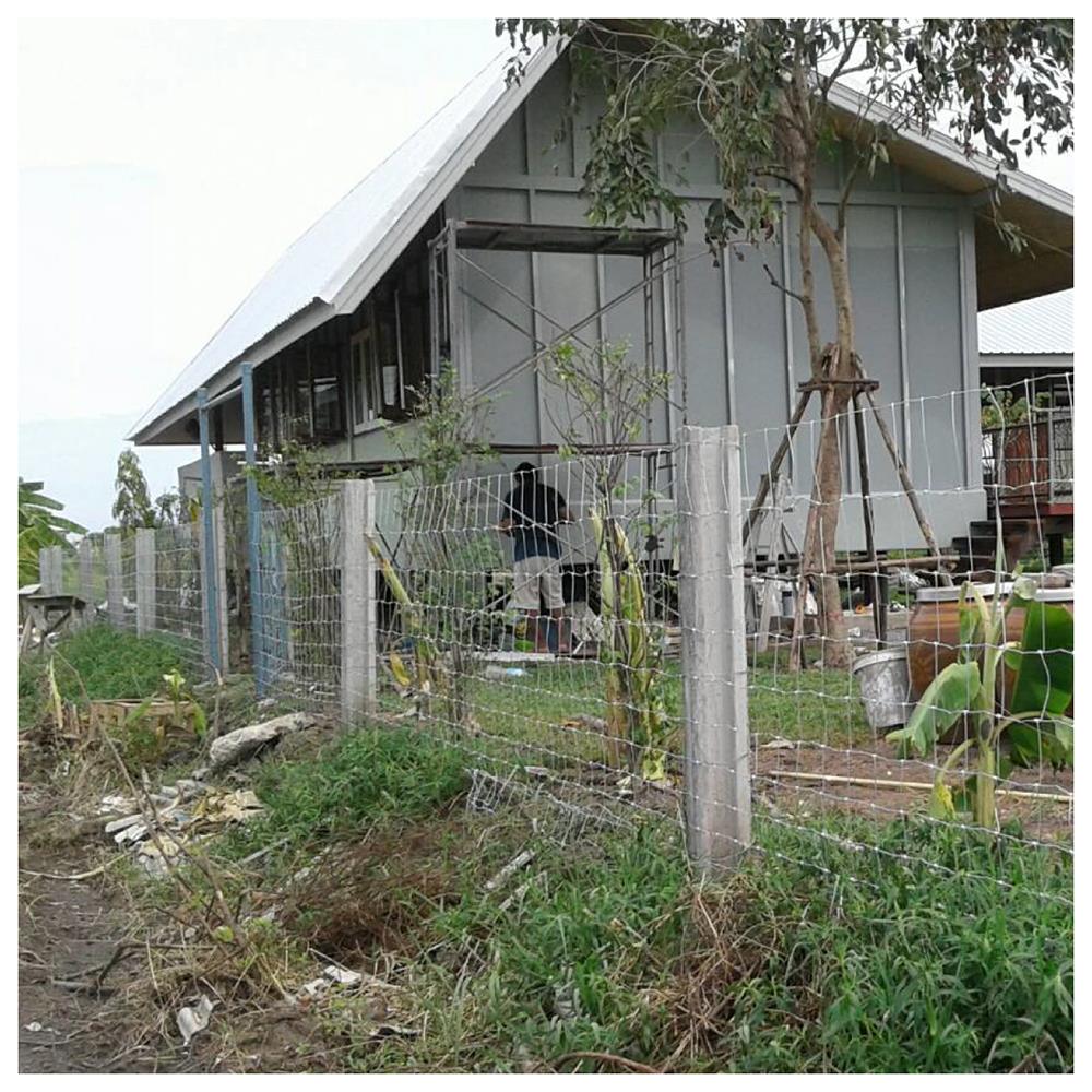 ตาข่ายถักปม เทวดา 10 เส้น 1.20x100 ม.