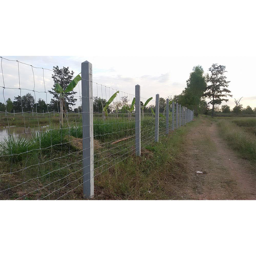 ตาข่ายถักปม เทวดา 10 เส้น 1.20x100 ม.