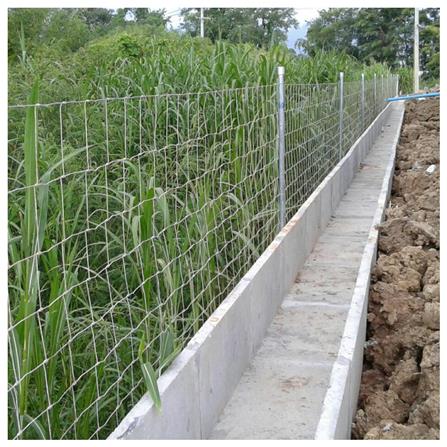 ตาข่ายถักปม เทวดา 10 เส้น 1.20x100 ม._4