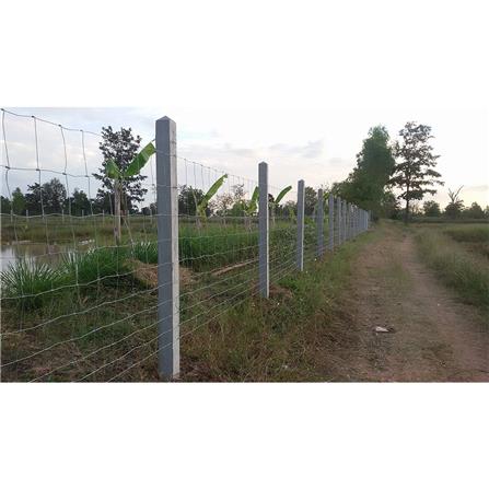 ตาข่ายถักปม เทวดา 10 เส้น 1.20x100 ม._6