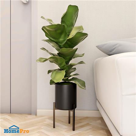 กระถางต้นไม้ SPRING สีดำ_2