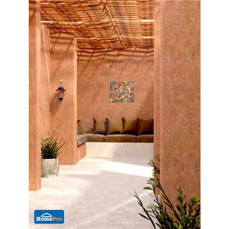 กระเบื้องผนังภาพชุด 8x10 นิ้ว ปลาแฟนซีคาร์ฟ น้ำตาล_1