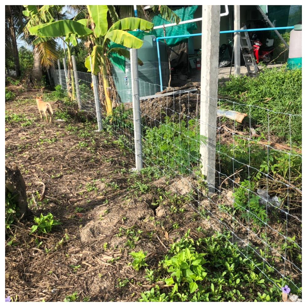 ตาข่ายถักปม เทวดา 8 เส้น 0.90x100 ม.